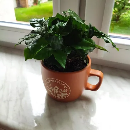 Ada Apartment Koszalin